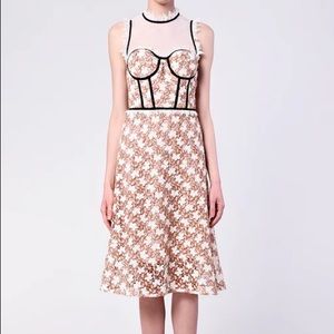 True Decadence Floral Crochet Midi Dress Structured Top A-Line Mesh High Neck